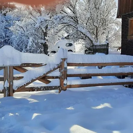 Little Graceland Ferienwohnung Und Bed&Breakfast Bonndorf im Schwarzwald Buitenkant foto