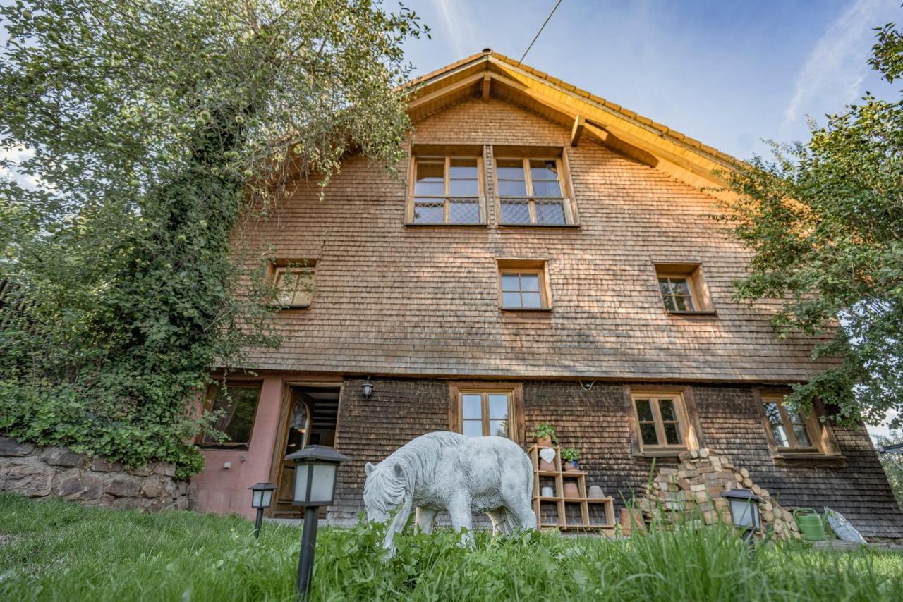 Little Graceland Und * Bonndorf im Schwarzwald