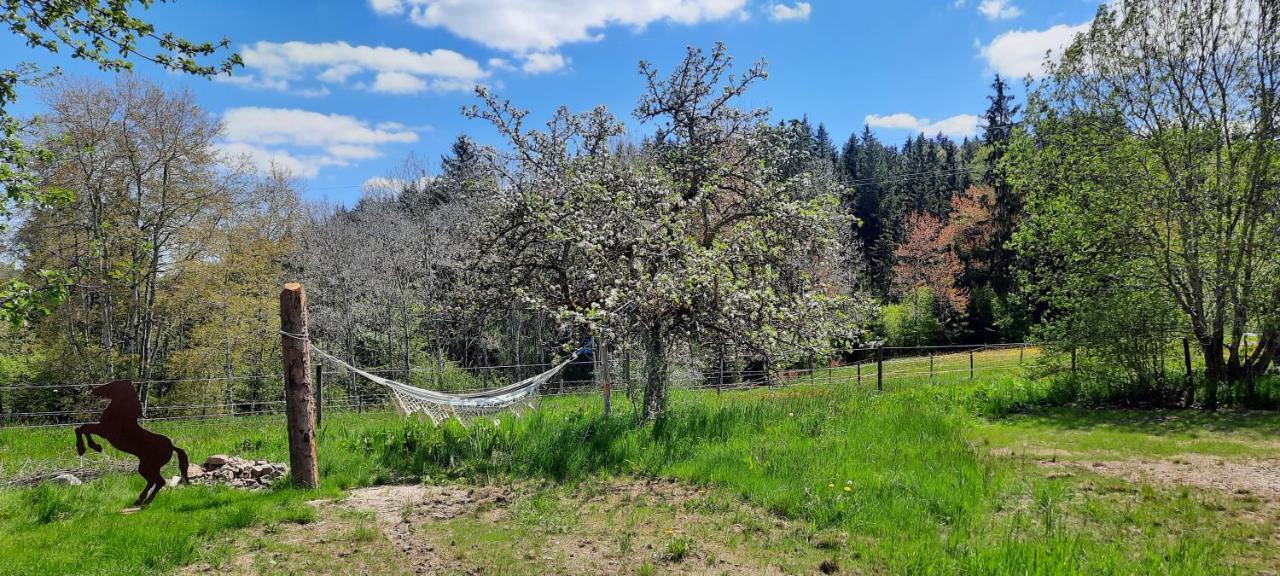 Little Graceland Und Appartement Bonndorf im Schwarzwald